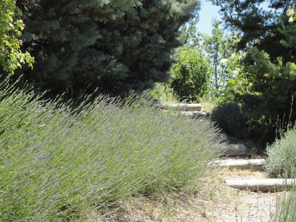 Vila Un Gite De Charme En Haute Provence Sigoyer  Pokoj fotografie