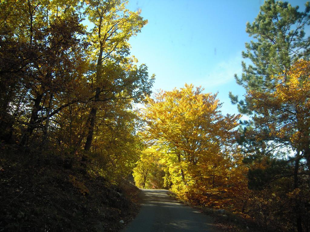 Vila Un Gite De Charme En Haute Provence Sigoyer  Pokoj fotografie
