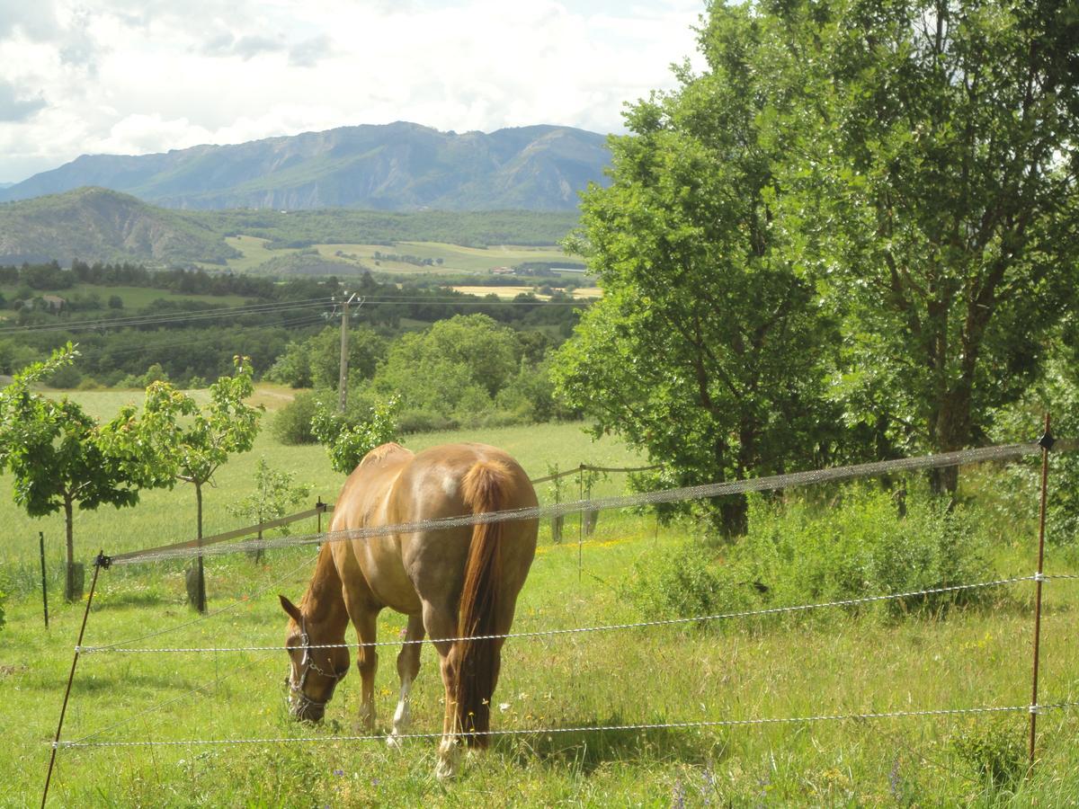 Vila Un Gite De Charme En Haute Provence Sigoyer  Exteriér fotografie